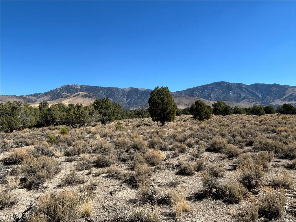 East Creek, McGill, NV 89301