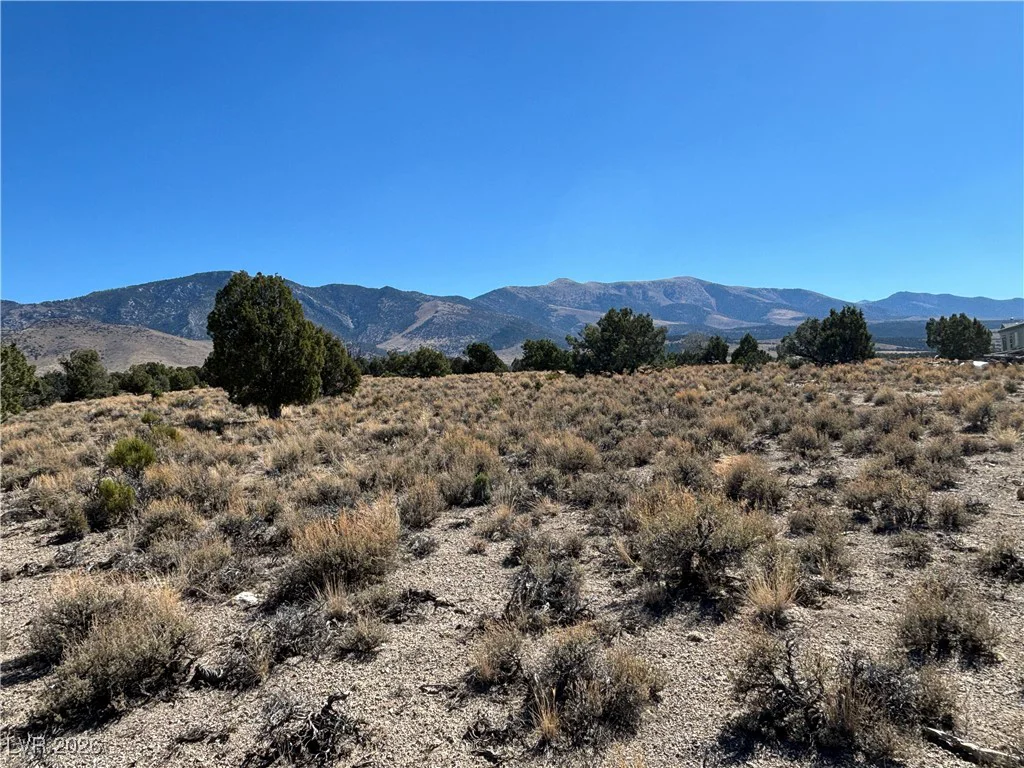 East Creek, McGill, NV 89301