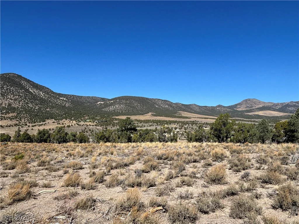 East Creek, McGill, NV 89301