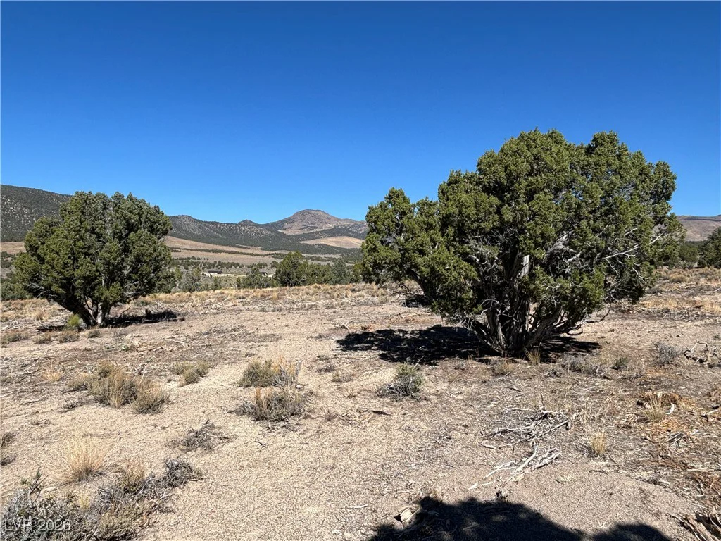 East Creek, McGill, NV 89301