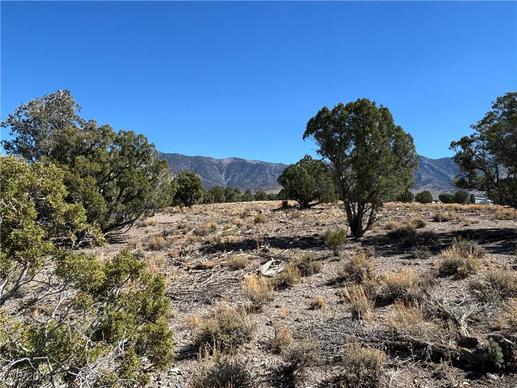 East Creek, McGill, NV 89301