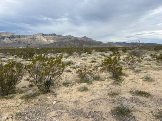 6860 Blagg, Pahrump, NV 89060
