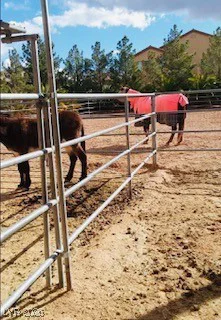 9950 Rancho Destino, Las Vegas, NV 89183