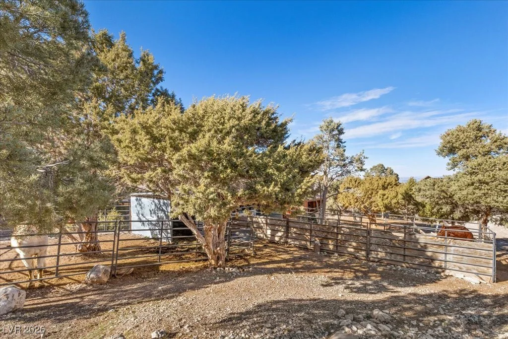 92 Cold Creek, Cold Creek, NV 89124
