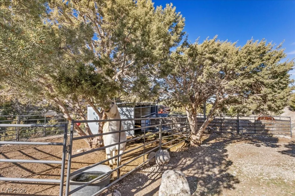 92 Cold Creek, Cold Creek, NV 89124