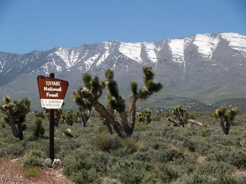 92 Cold Creek, Cold Creek, NV 89124