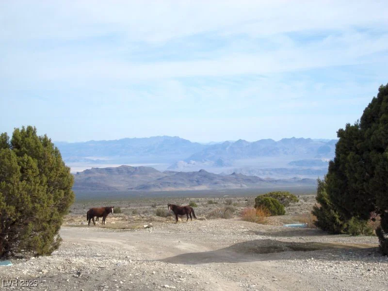 92 Cold Creek, Cold Creek, NV 89124