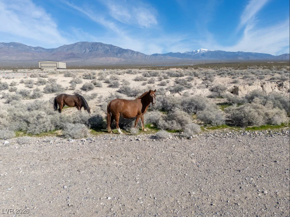 1180 Airplane, Pahrump, NV 89060