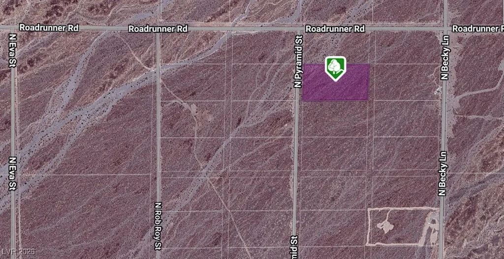 7900 North Zebra, Pahrump, NV 89060