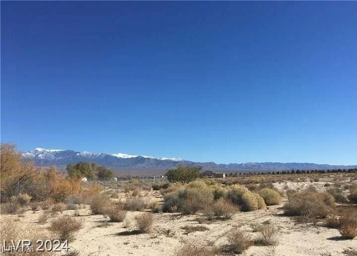 4301 Bridger, Pahrump, NV 89061