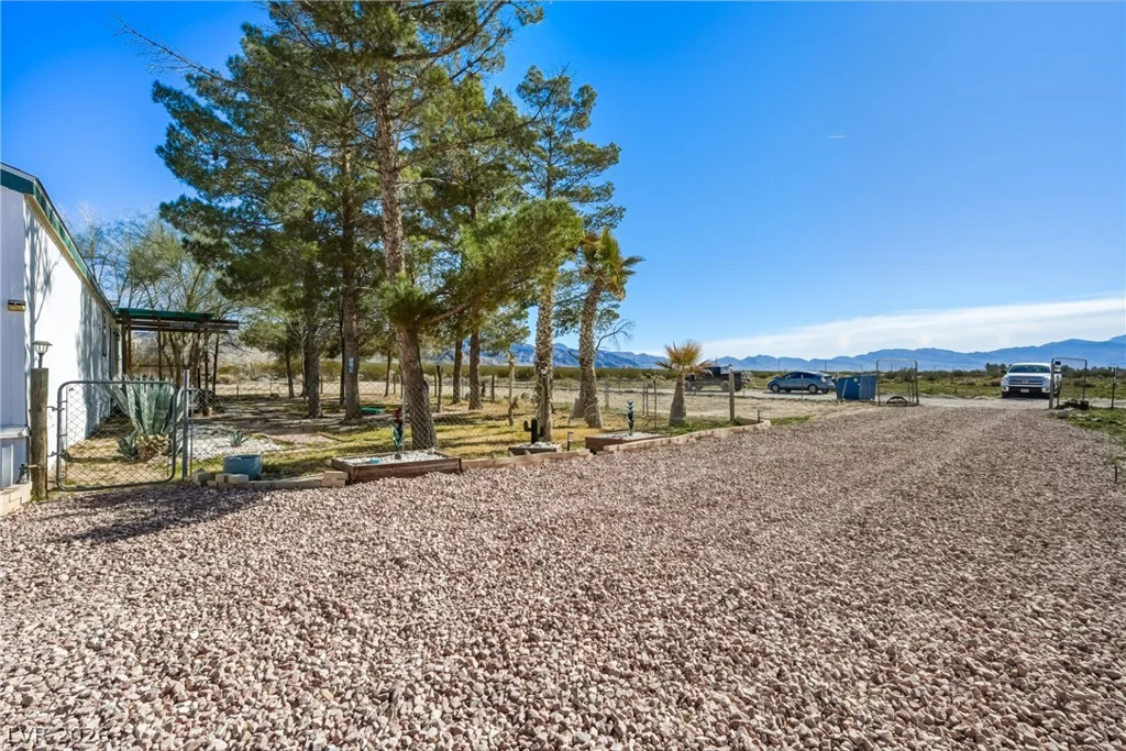 2900 Silver, Sandy Valley, NV 89019