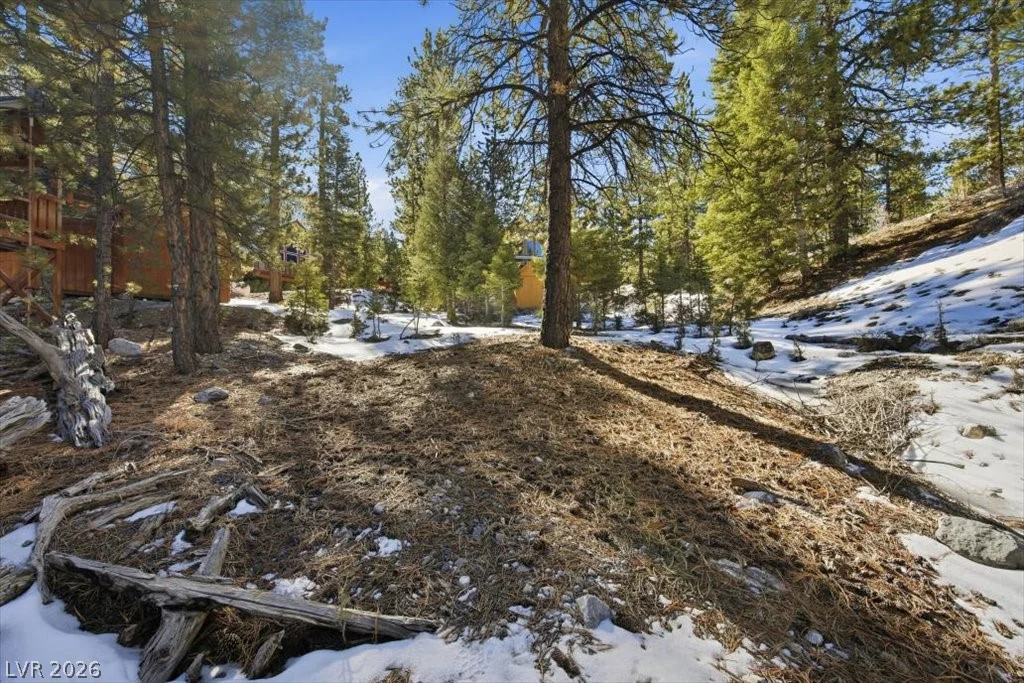 2209 Via Spes Nostra, Mount Charleston, NV 89124