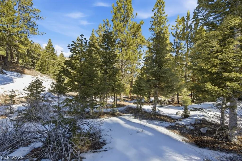 2209 Via Spes Nostra, Mount Charleston, NV 89124