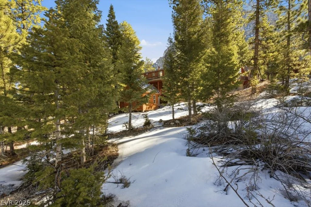 2209 Via Spes Nostra, Mount Charleston, NV 89124