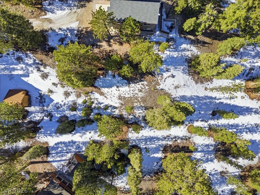 2209 Via Spes Nostra, Mount Charleston, NV 89124