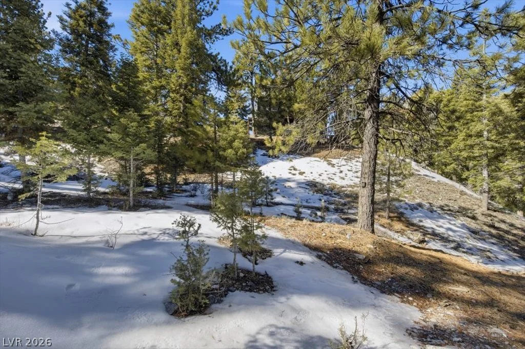 2209 Via Spes Nostra, Mount Charleston, NV 89124