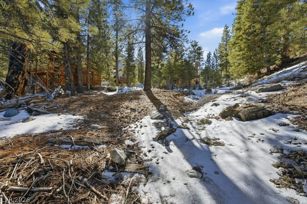 2209 Via Spes Nostra, Mount Charleston, NV 89124