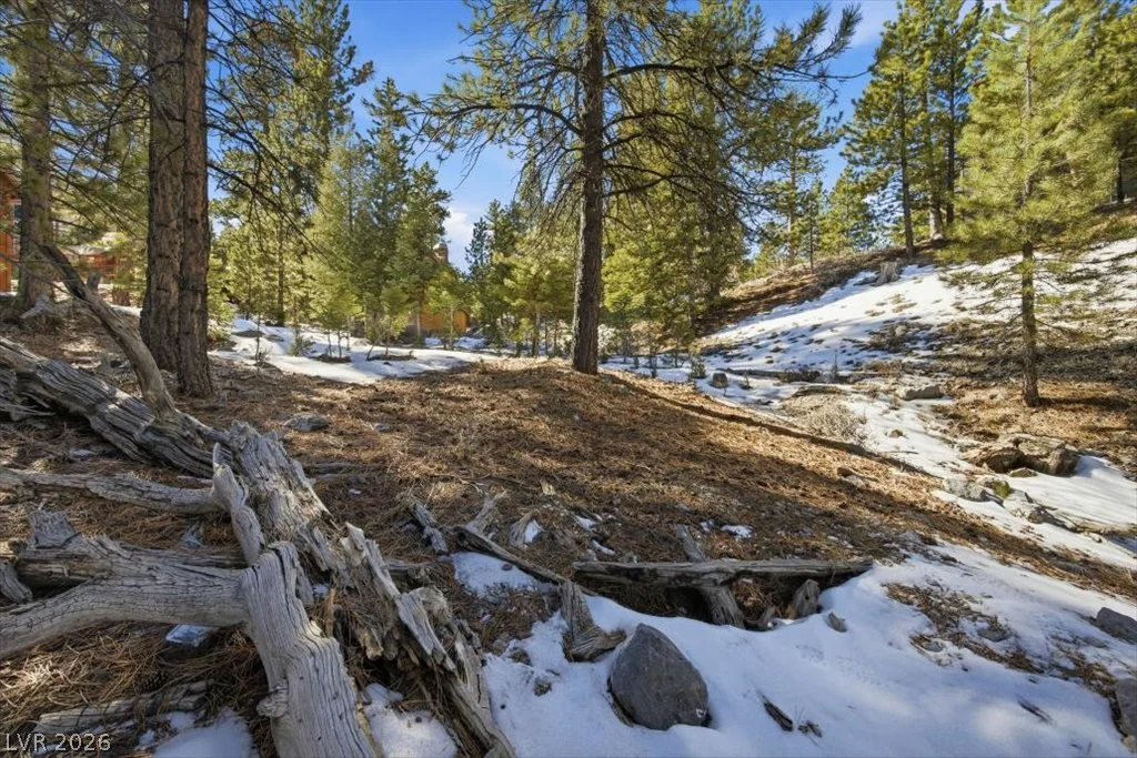2209 Via Spes Nostra, Mount Charleston, NV 89124