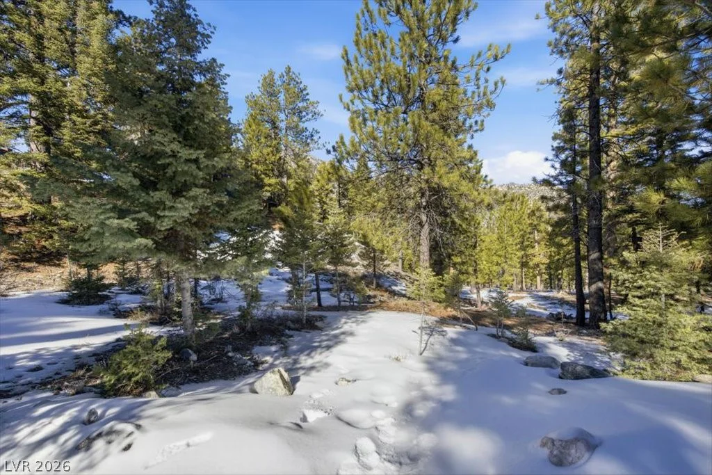 2209 Via Spes Nostra, Mount Charleston, NV 89124