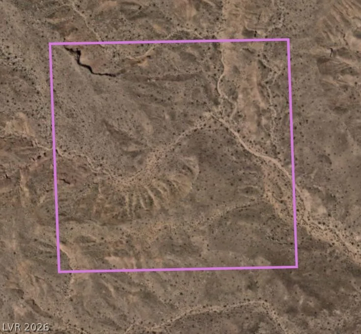 Mesa, Logandale, NV 89021