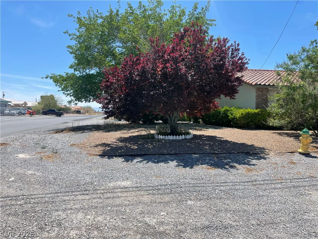 881 Calvada, Pahrump, NV 89048