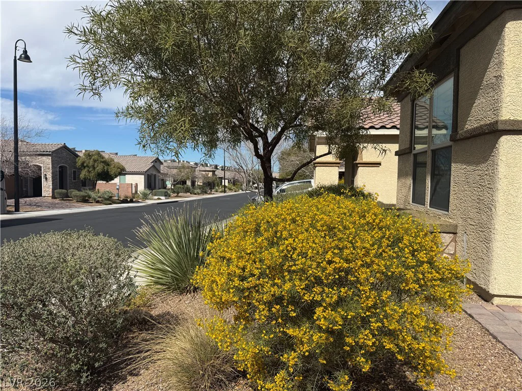 2646 Cooper Gallery, Henderson, NV 89044