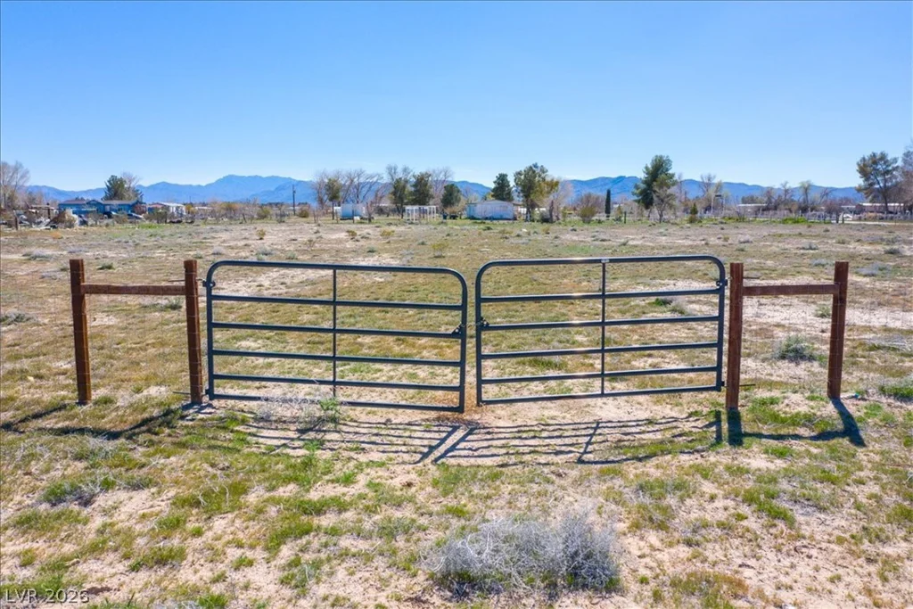 0 Gold, Sandy Valley, NV 89019