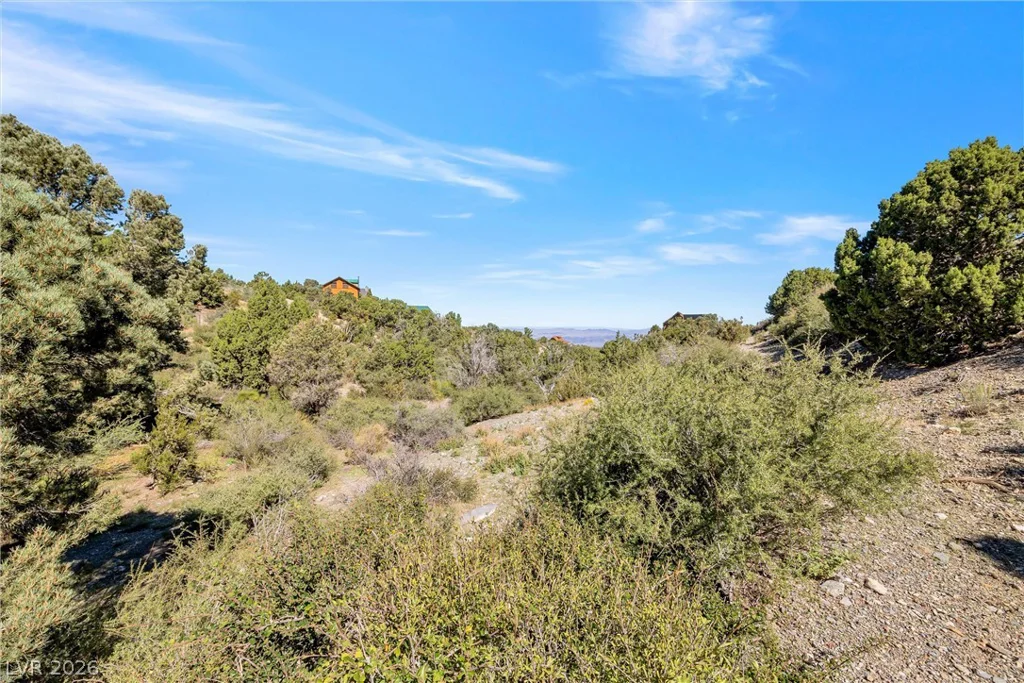 91 Aspen Road 095-01-710-007, Cold Creek, NV 89124