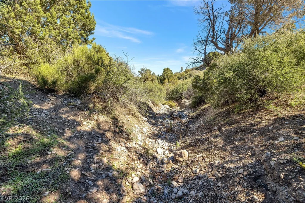 91 Aspen Road 095-01-710-007, Cold Creek, NV 89124