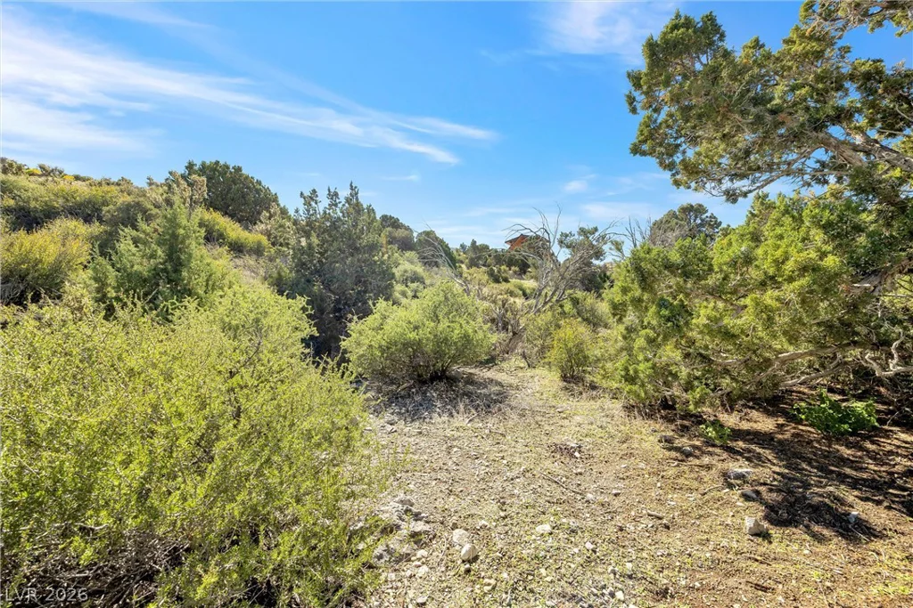 91 Aspen Road 095-01-710-007, Cold Creek, NV 89124