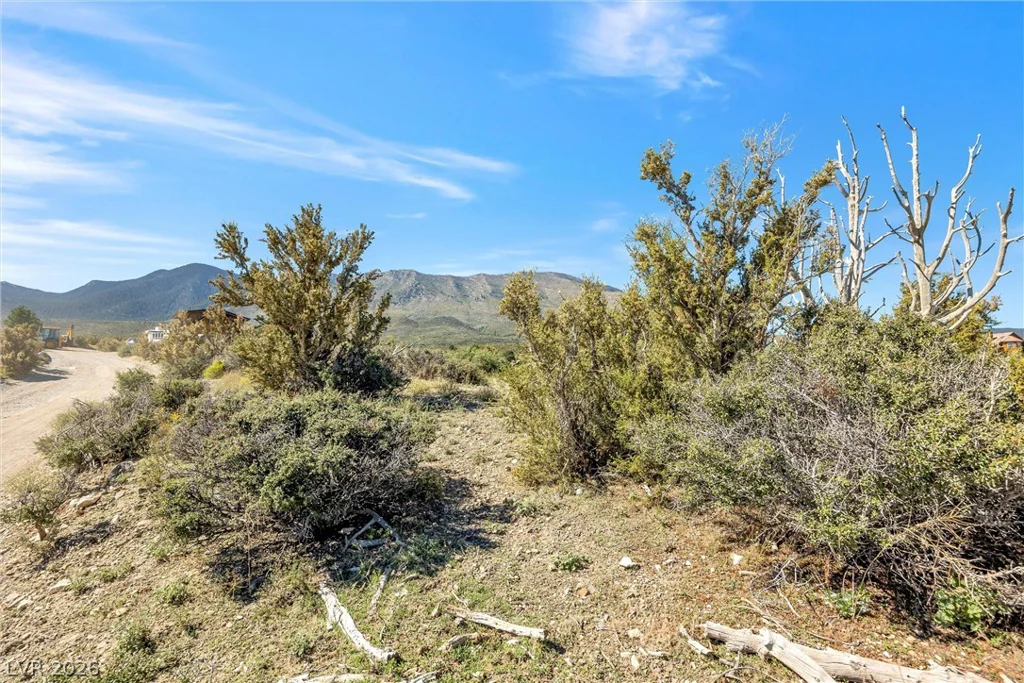 91 Aspen Road 095-01-710-007, Cold Creek, NV 89124
