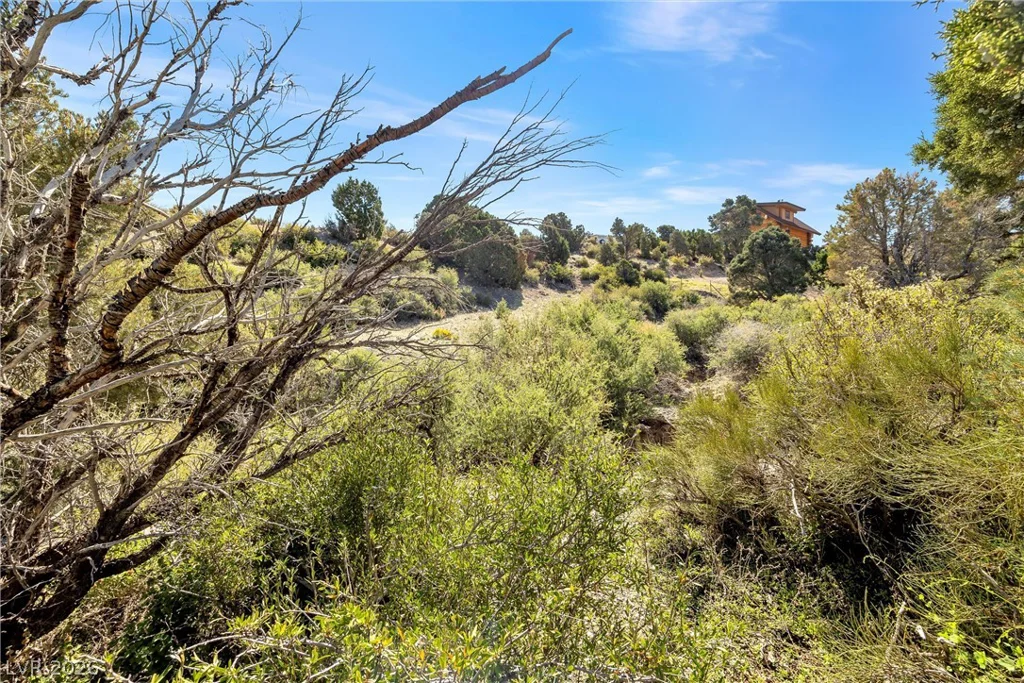 91 Aspen Road 095-01-710-007, Cold Creek, NV 89124