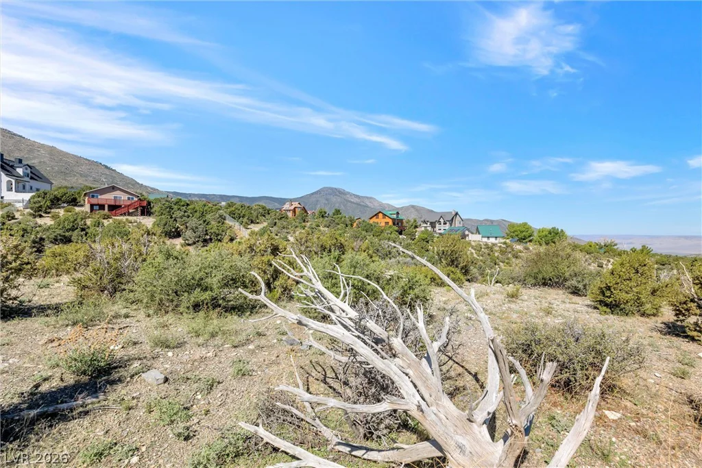 91 Aspen Road 095-01-710-007, Cold Creek, NV 89124