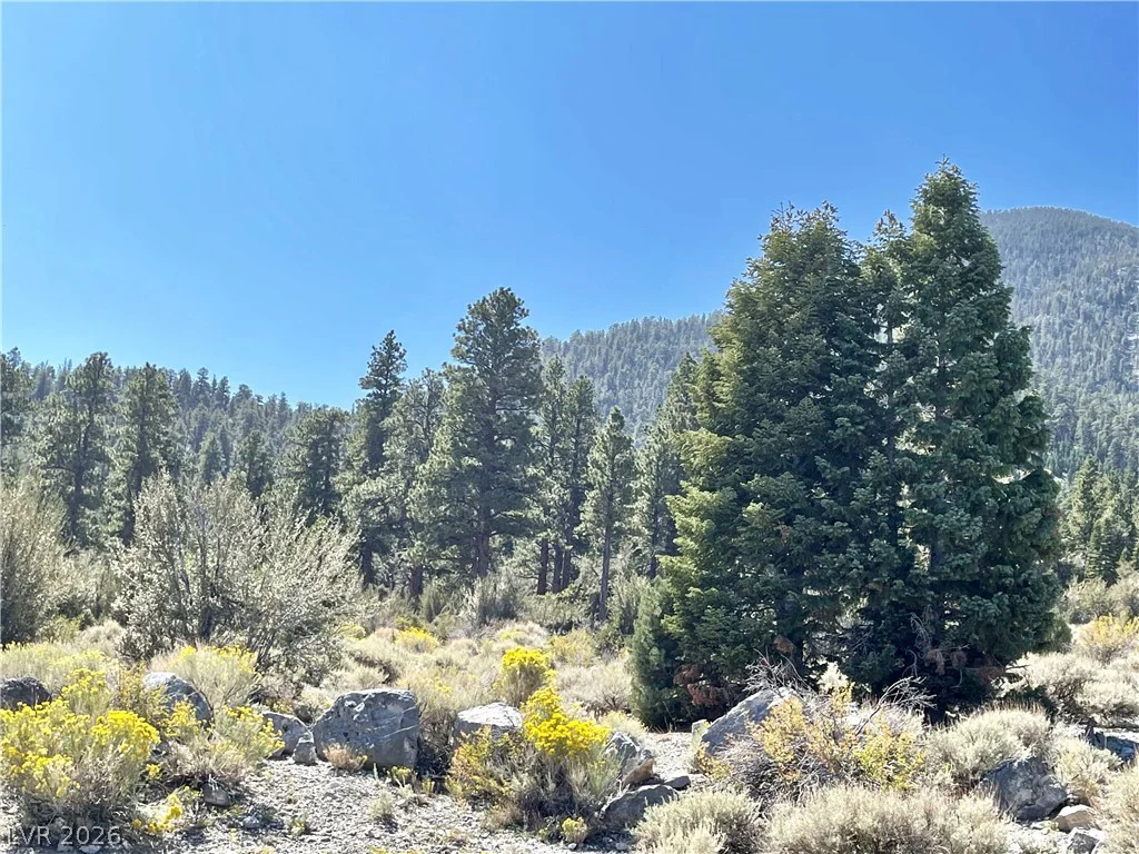 91 Aspen Road 095-01-710-007, Cold Creek, NV 89124