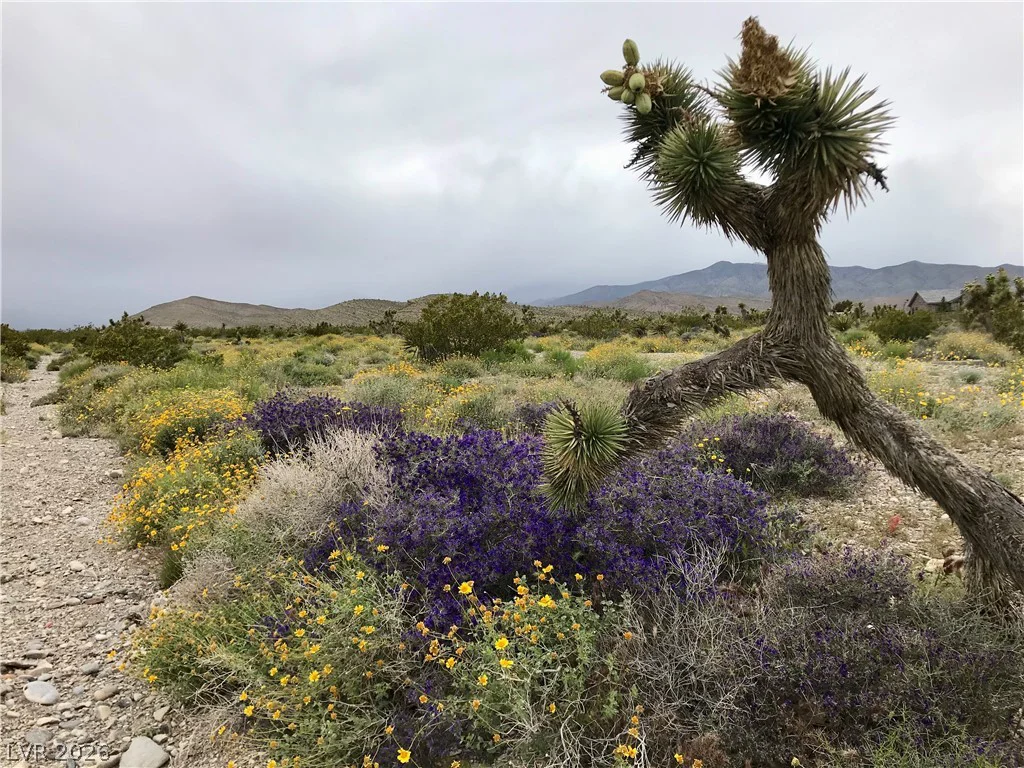 91 Aspen Road 095-01-710-007, Cold Creek, NV 89124