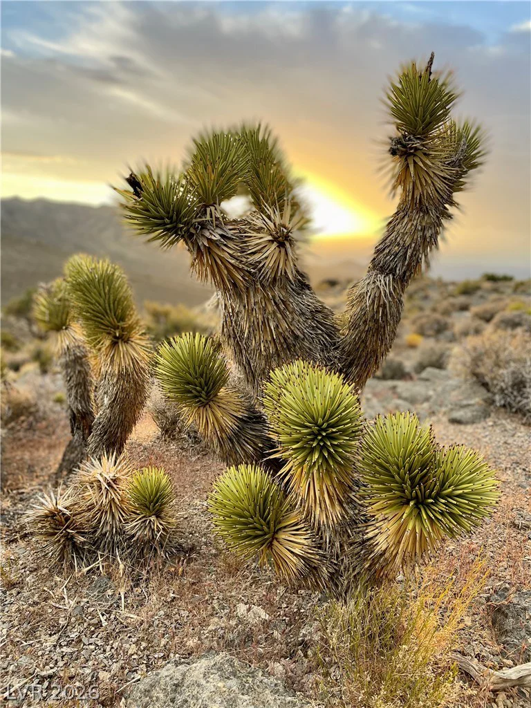 91 Aspen Road 095-01-710-007, Cold Creek, NV 89124