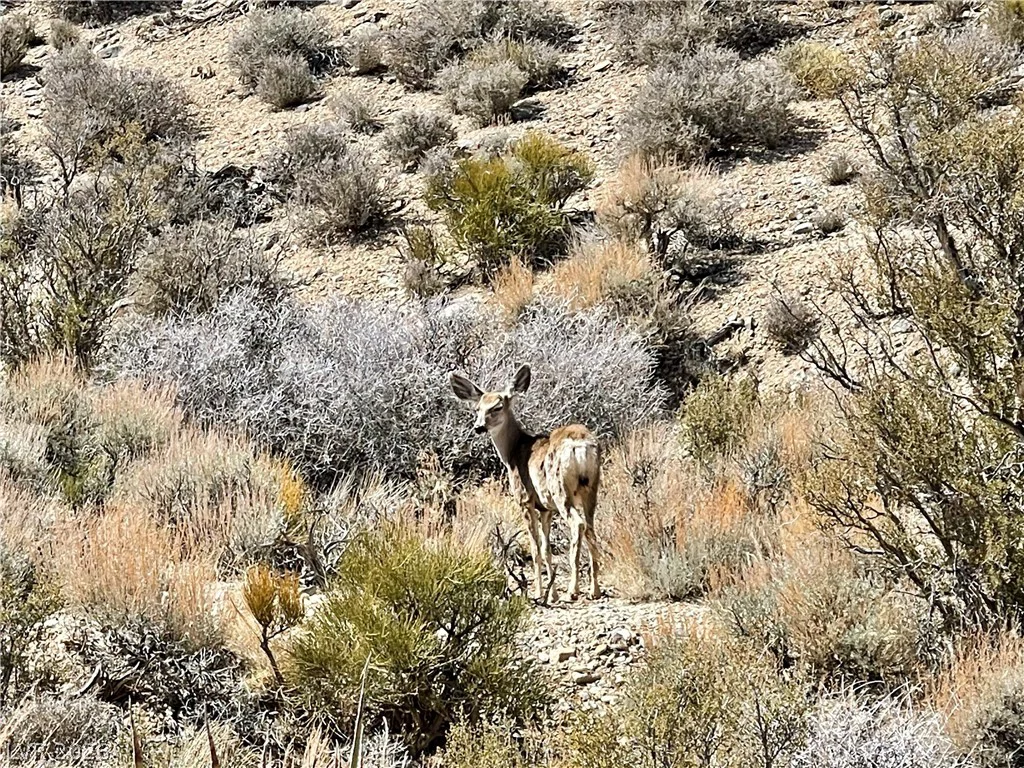 91 Aspen Road 095-01-710-007, Cold Creek, NV 89124