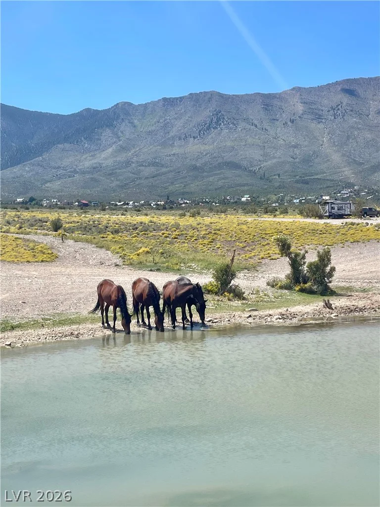 91 Aspen Road 095-01-710-007, Cold Creek, NV 89124