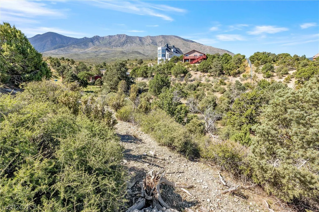 91 Aspen Road 095-01-710-007, Cold Creek, NV 89124