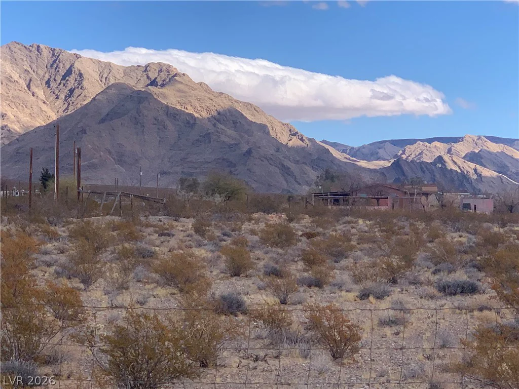 1397 Obsidian, Sandy Valley, NV 89019
