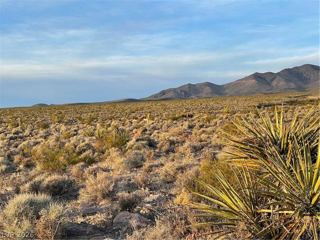 12841 Leanna, Pahrump, NV 89020