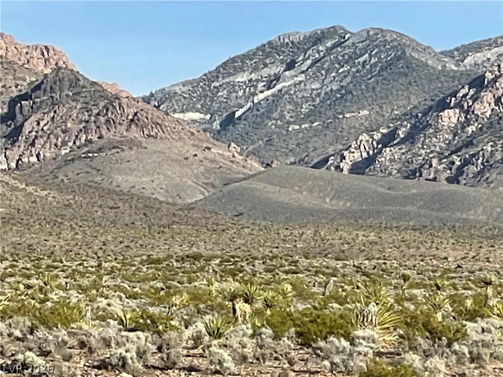 12470 Blagg, Pahrump, NV 89060