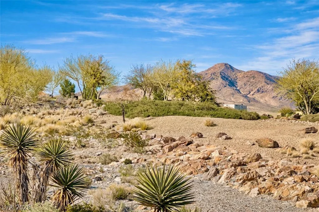 12492 Primrose Grove, Las Vegas, NV 89138