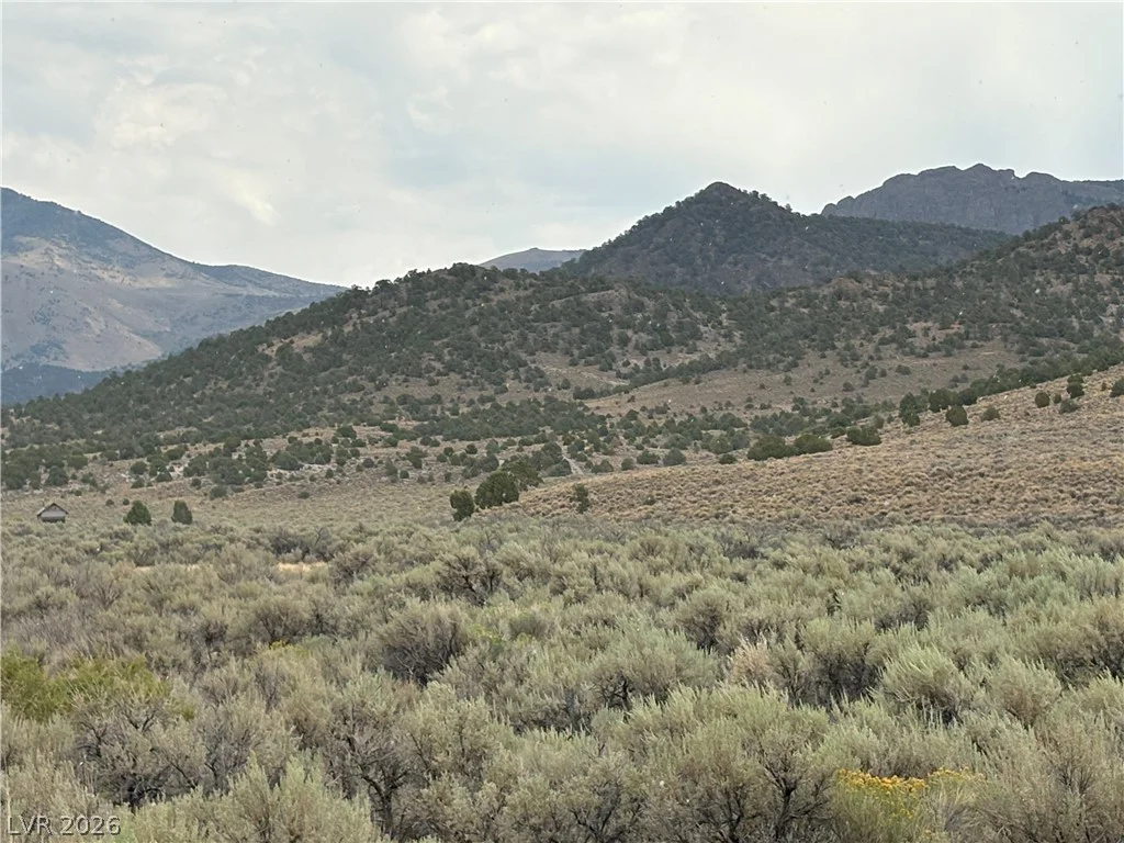 Mattier Creek, Ely, NV 89301