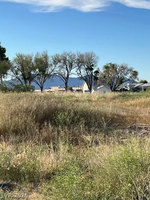2300 Ambush, Pahrump, NV 89048