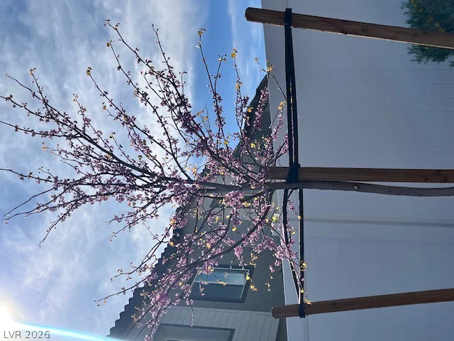 7324 Decatur, Las Vegas, NV 89131