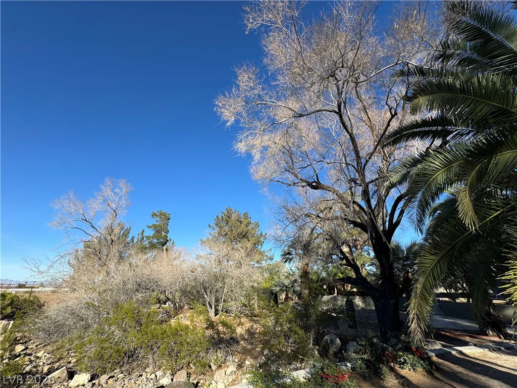 3220 Serene, Henderson, NV 89074