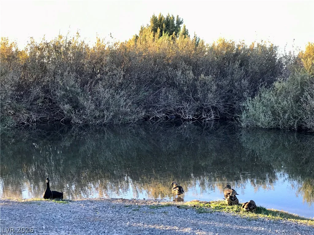 4 Camp Bonanza, Cold Creek, NV 89124