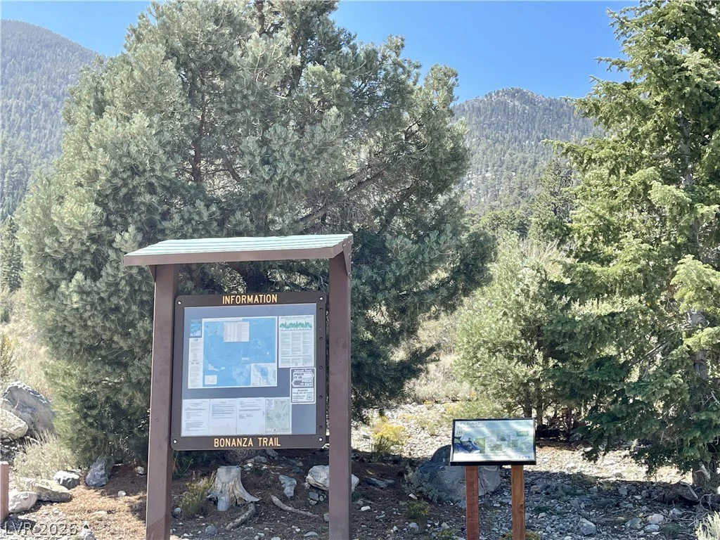 4 Camp Bonanza, Cold Creek, NV 89124