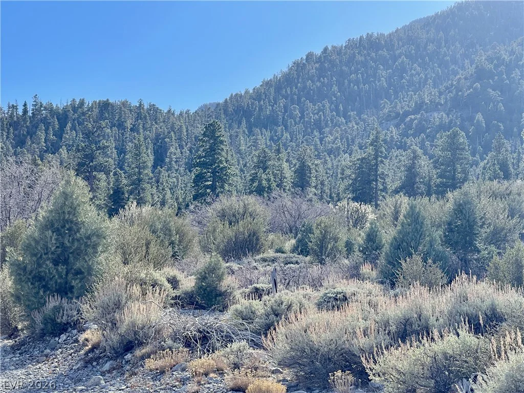 4 Camp Bonanza, Cold Creek, NV 89124